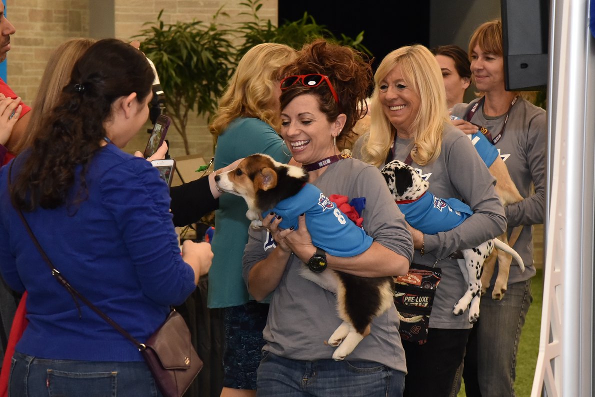 WVC Moves Annual Event to February for Veterinary Professionals TSNN